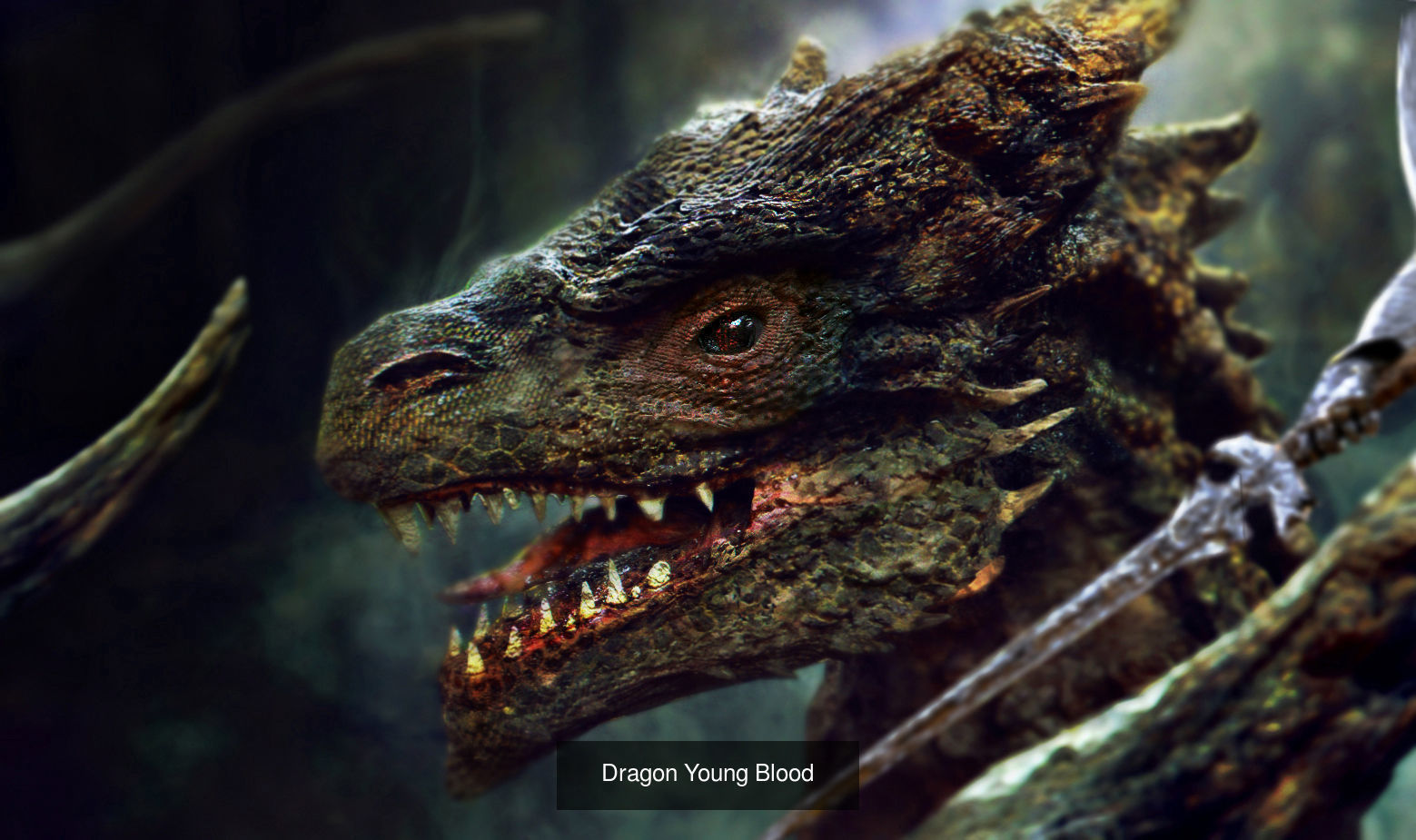 Dragon Collection 1 _10