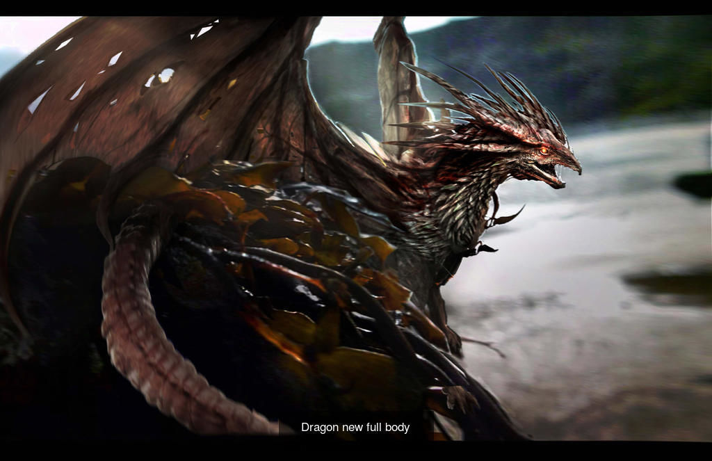 Dragon Collection 1 _38