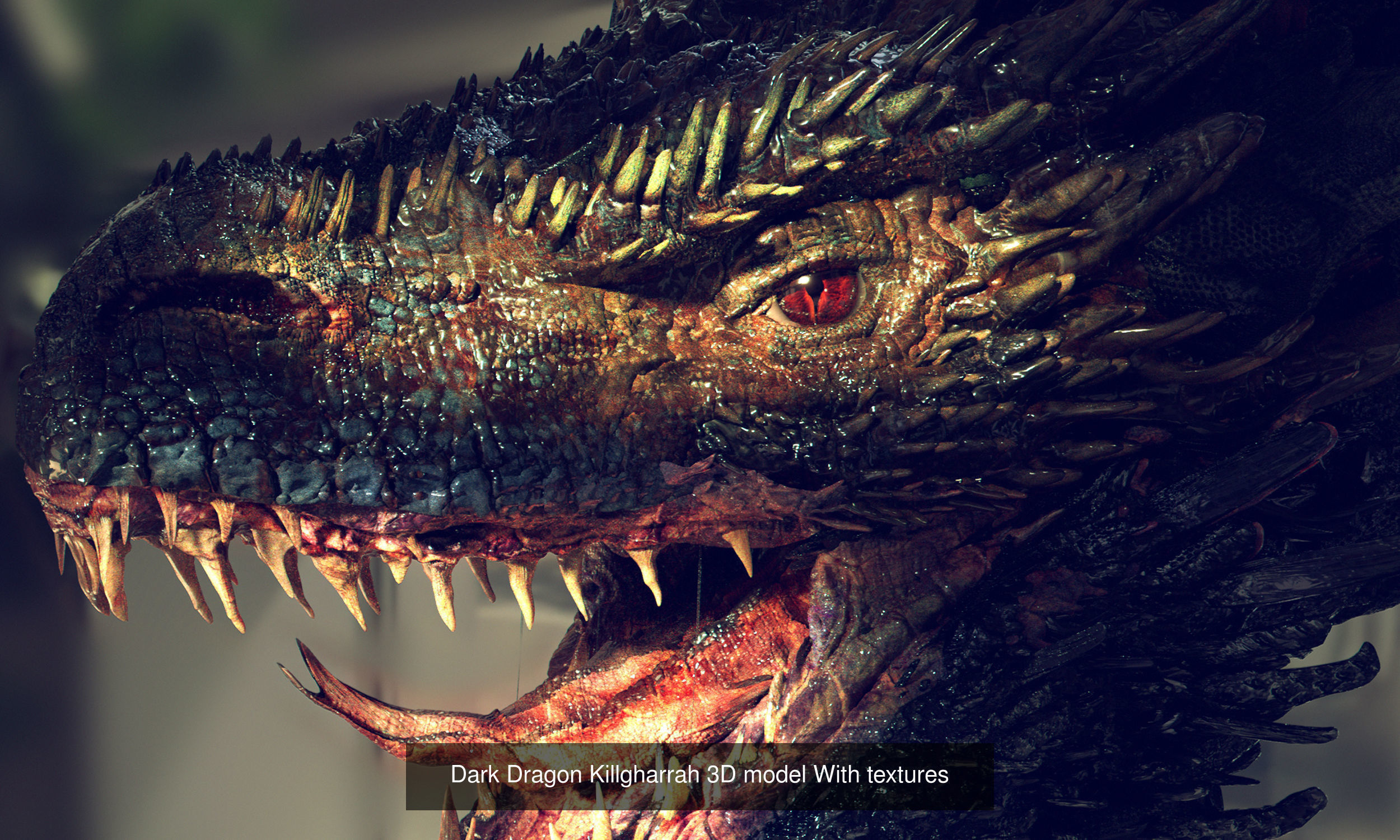 Dragon Collection 1 _5