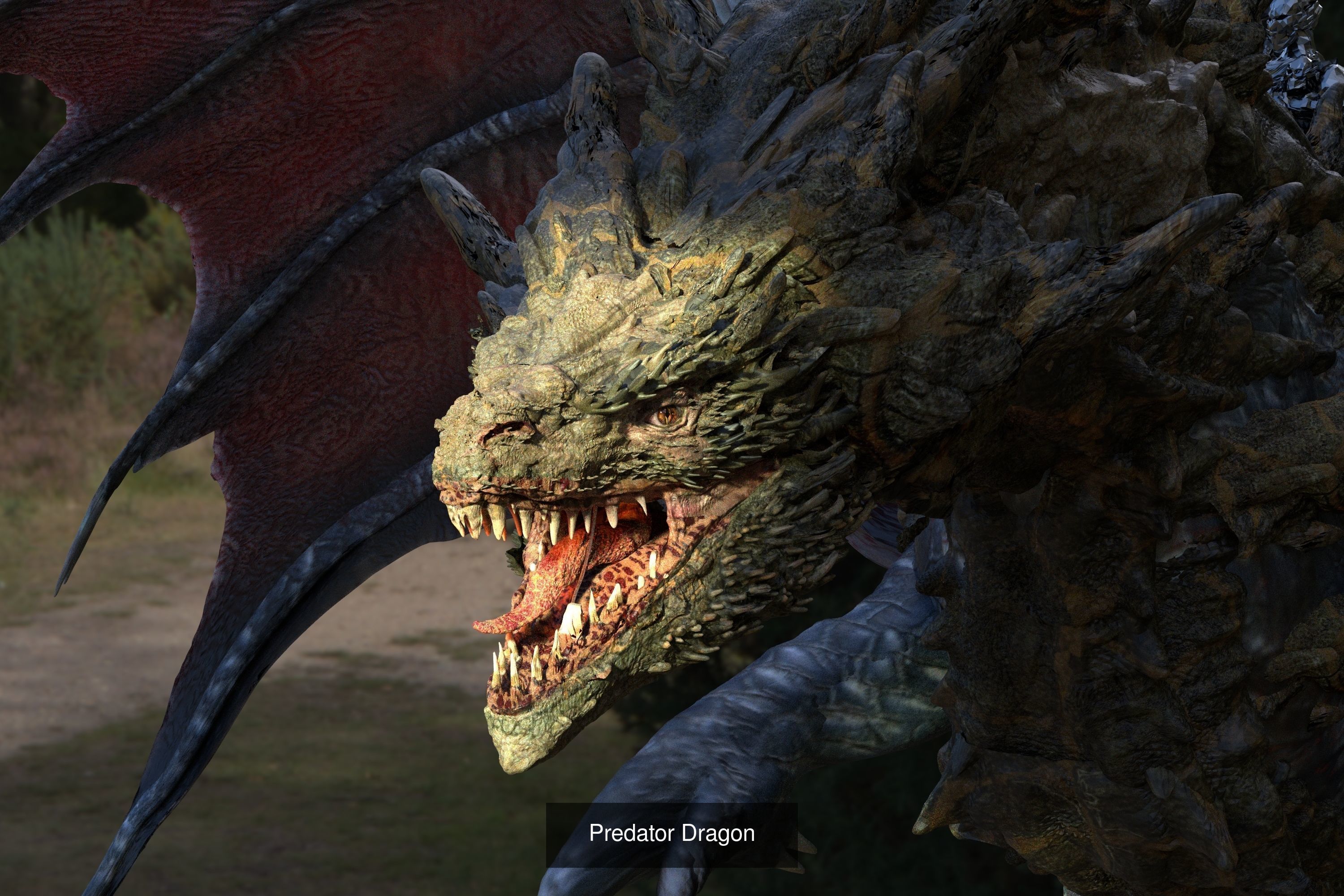 Dragon Collection 1 _20