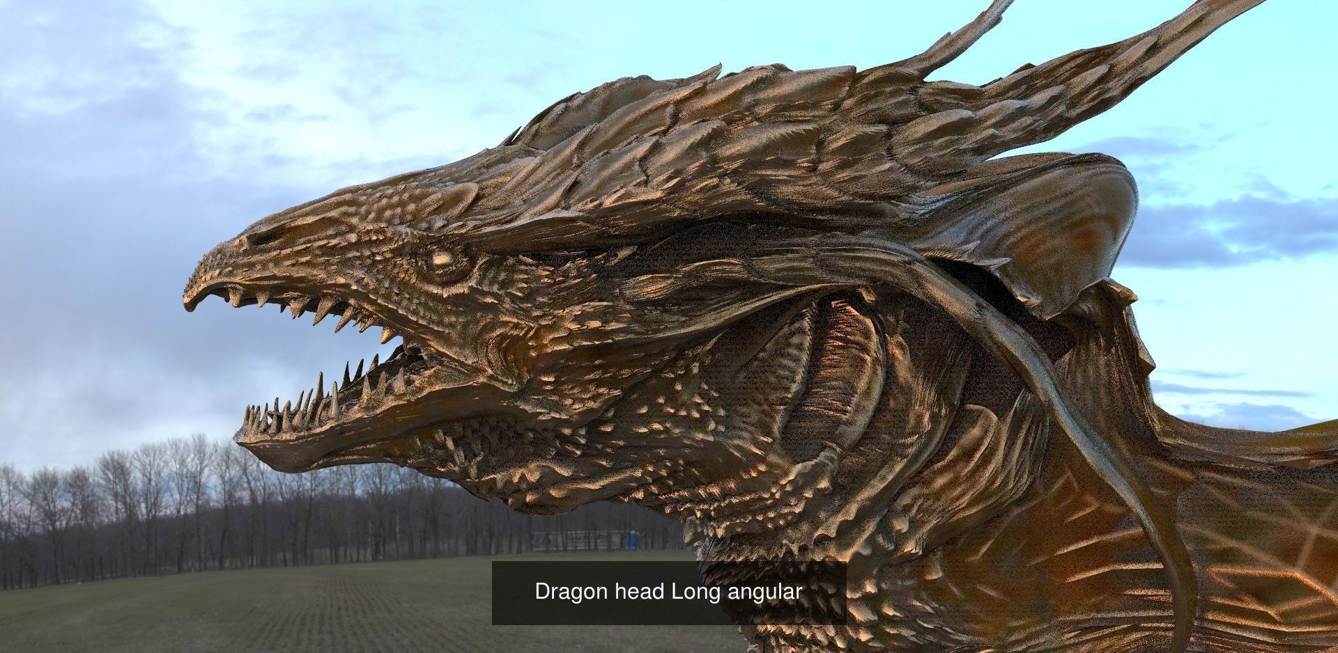 Dragon Collection 1 _28