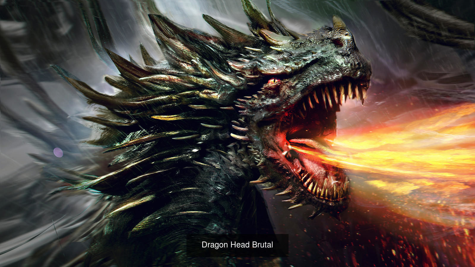 Dragon Collection 1 _14