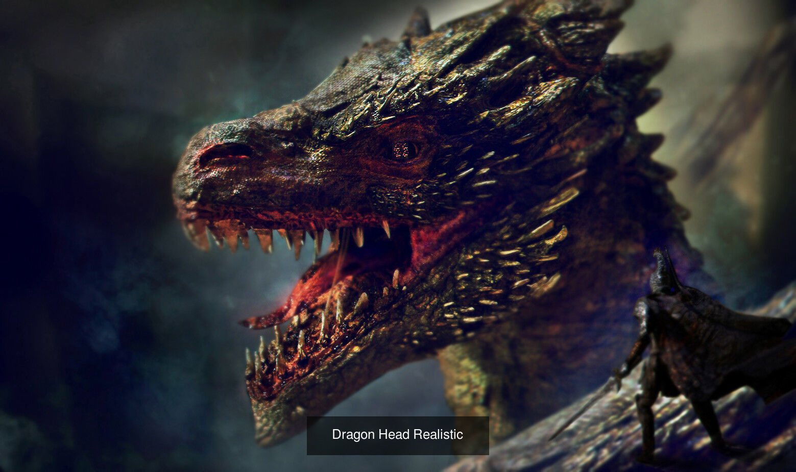 Dragon Collection 1 _11