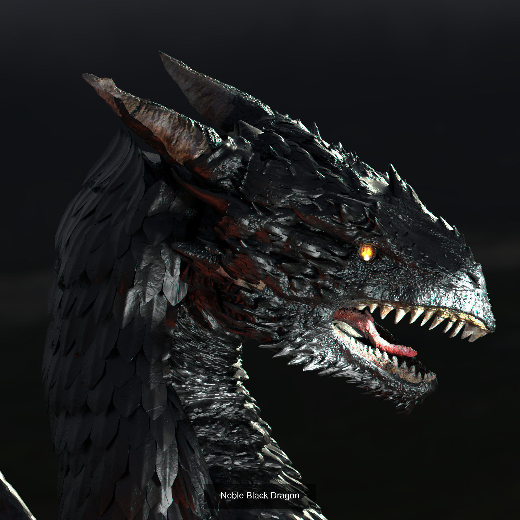 Dragon Collection 1 _18