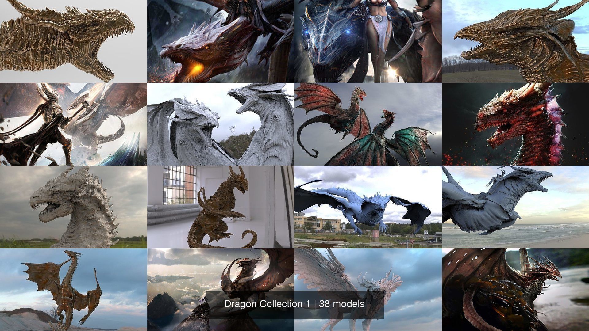 Dragon Collection 1 _7