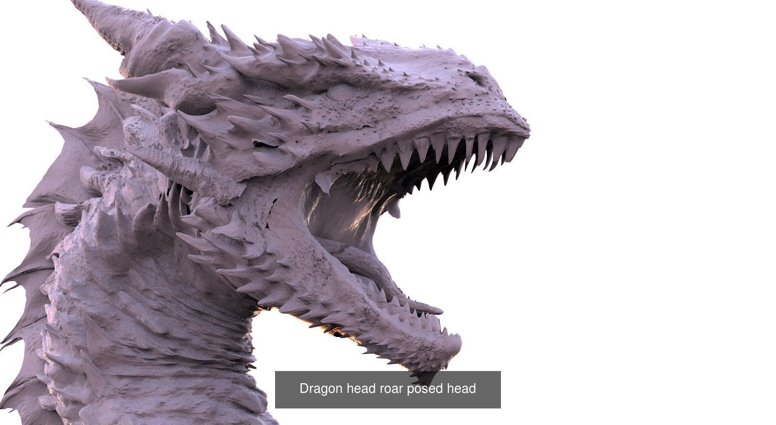 Dragon Collection 1 _40