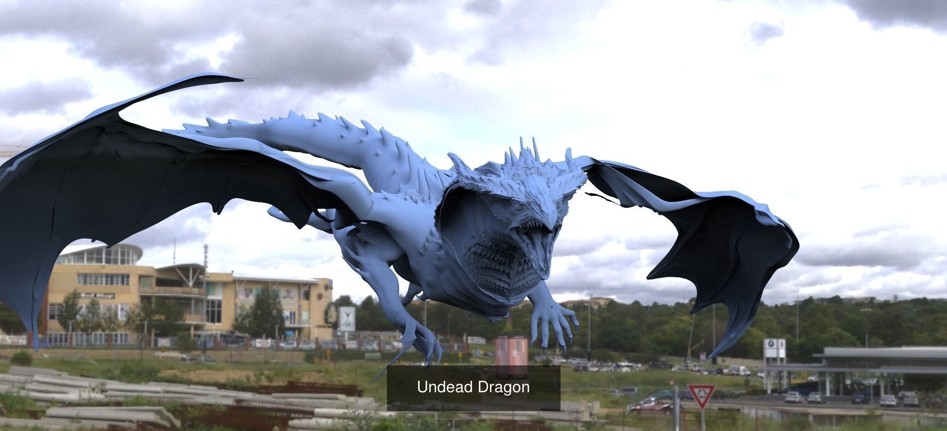 Dragon Collection 1 _33