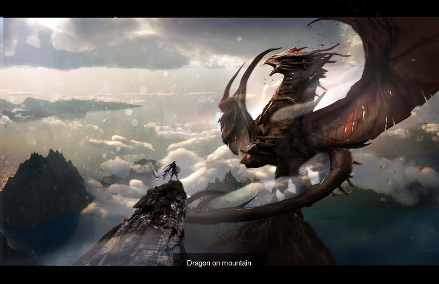 Dragon Collection 1 _36