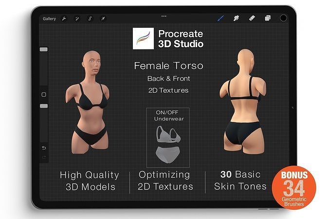 Procreate 3d Model - Torso Female 3D model