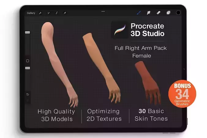 Procreate 3d Model - Right Arm Female