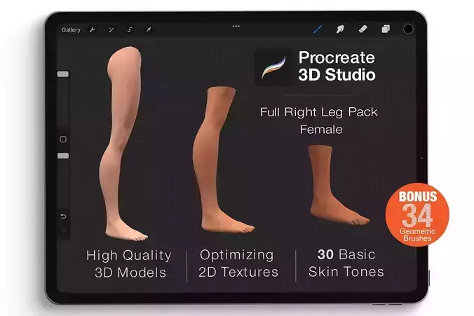 Procreate 3d Model - Right Leg Female 3D model