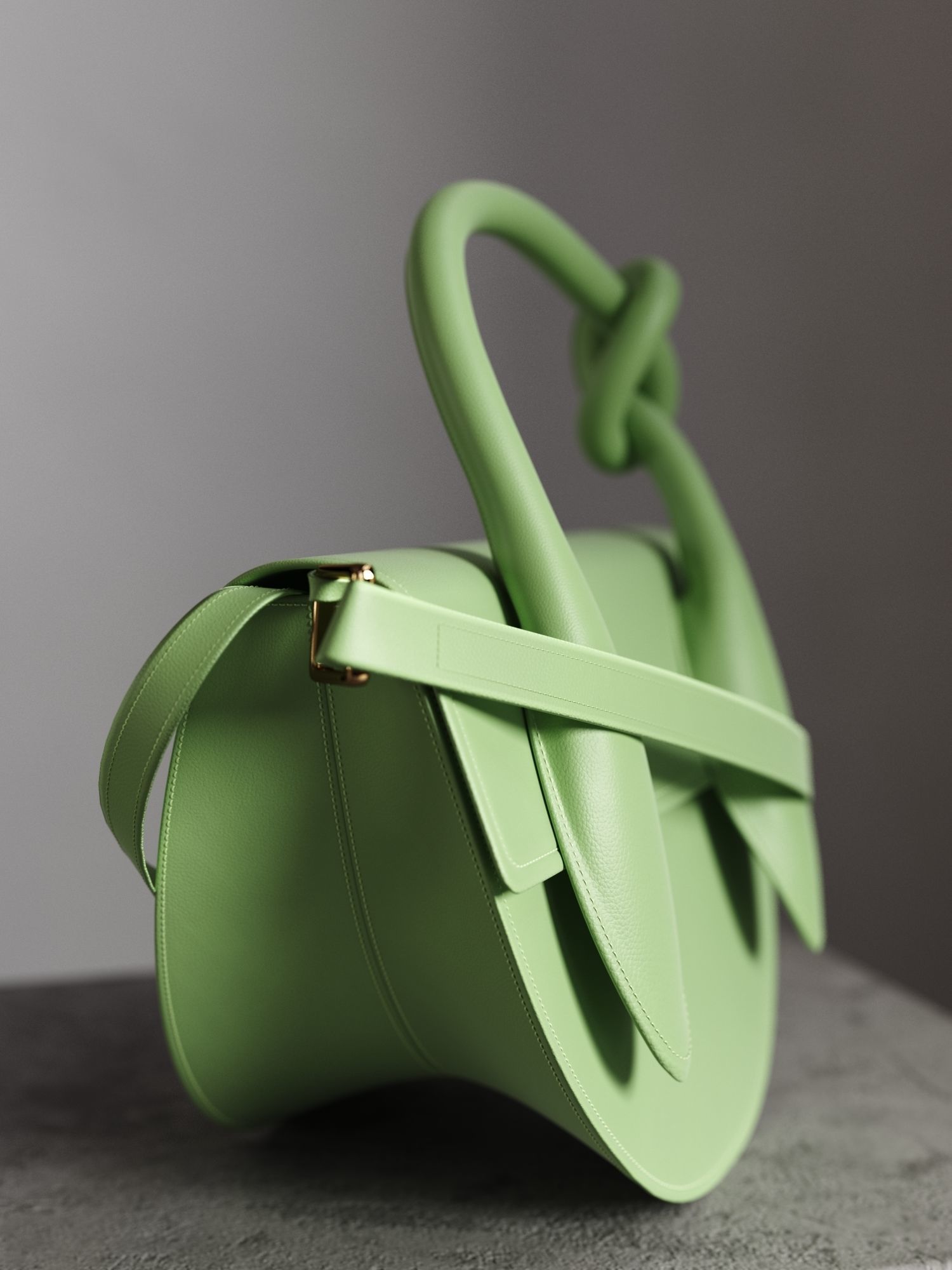 Dolores Bag 3D model_1