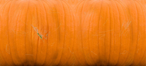 Halloween Pumpkin Character Low-poly 3D model_37