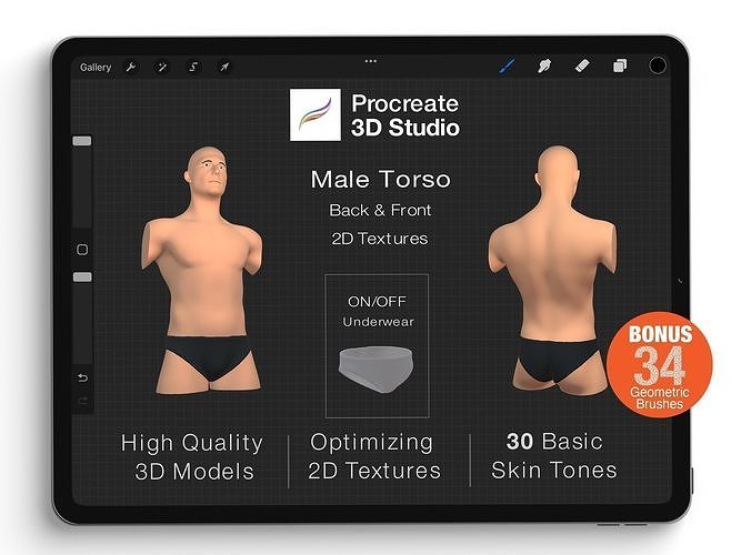 Procreate 3d Model - Torso Body Male 3D model