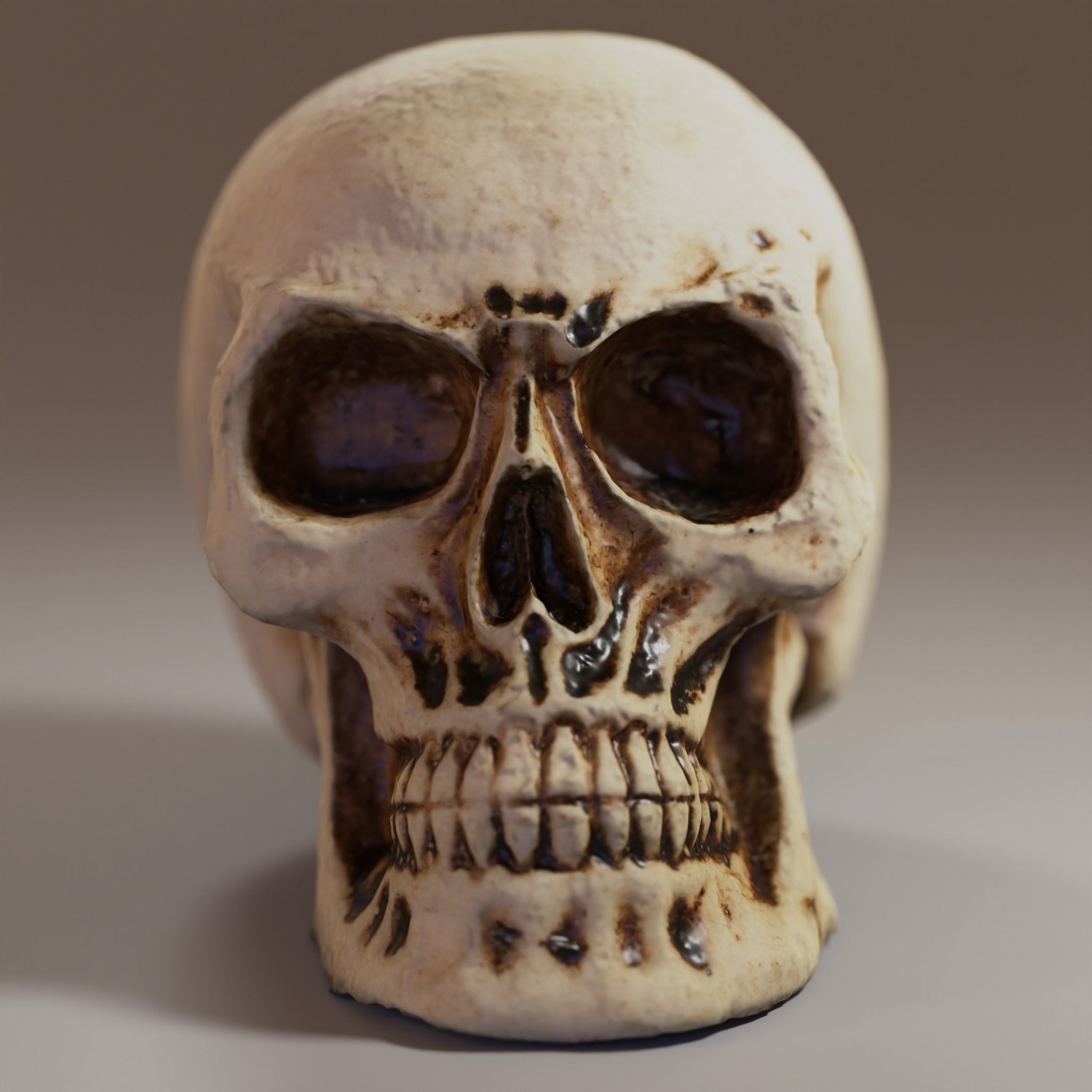 Small Decorative Skull - 3D Scan Low-poly 3D model_1