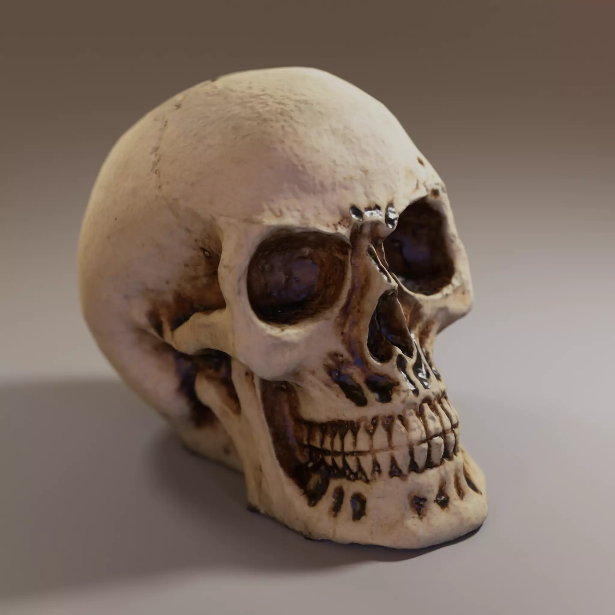 Small Decorative Skull - 3D Scan Low-poly 3D model_0