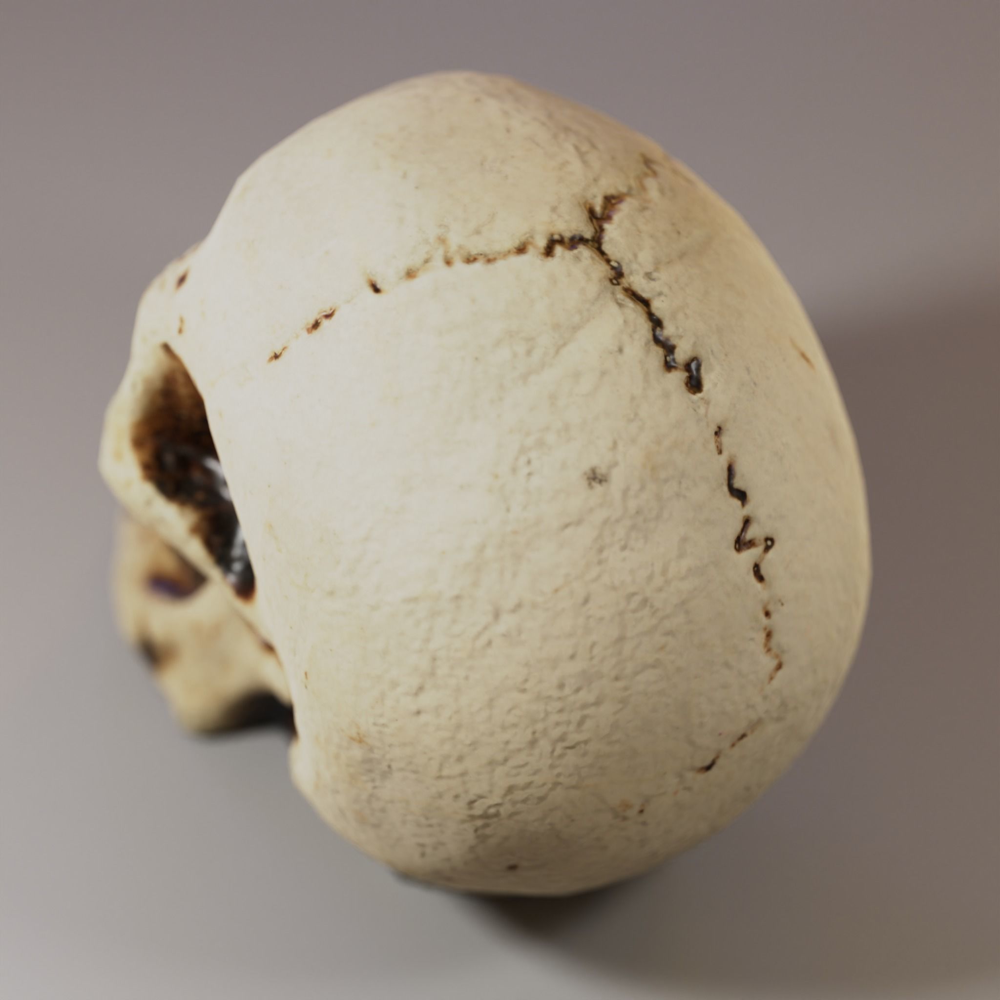 Small Decorative Skull - 3D Scan Low-poly 3D model_3