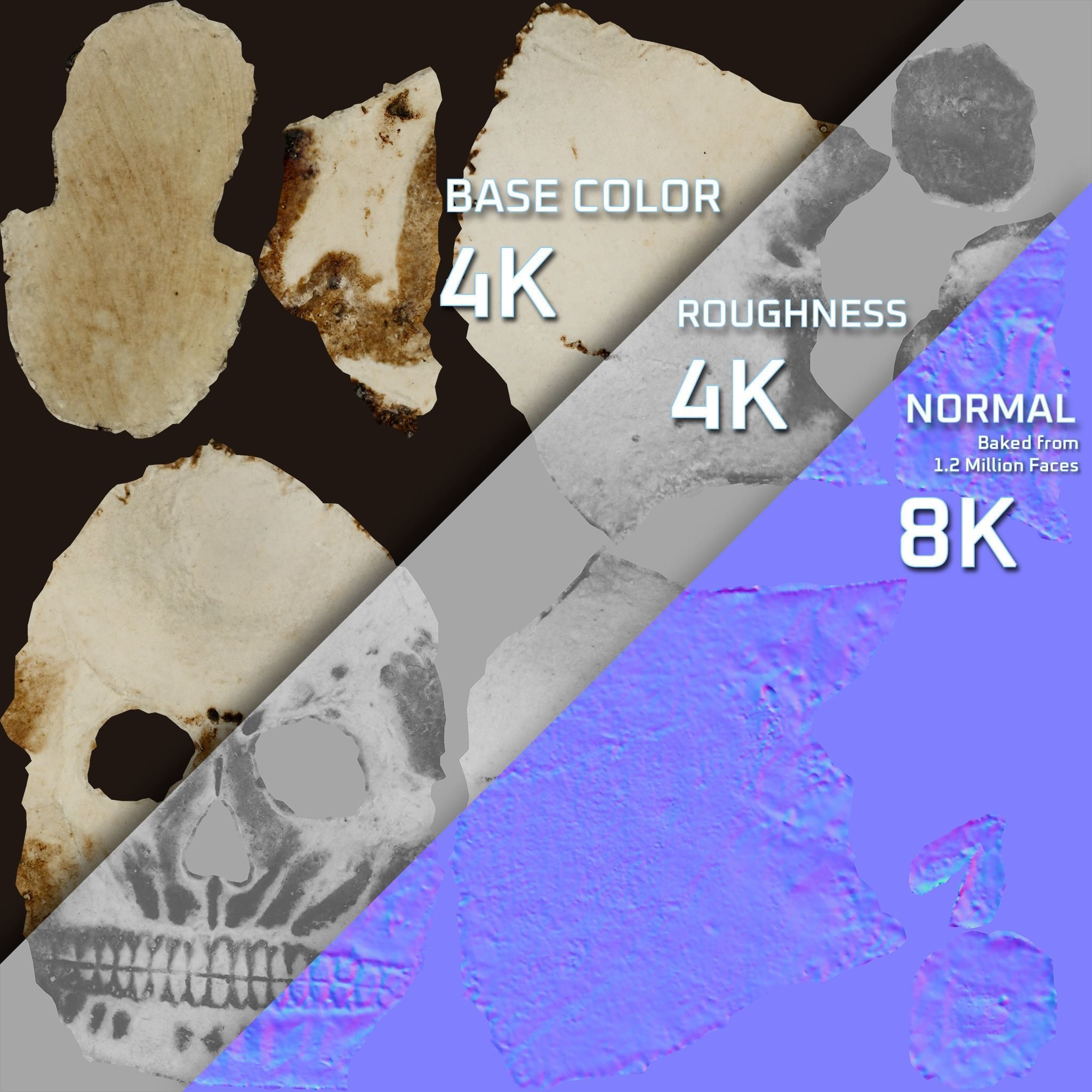 Small Decorative Skull - 3D Scan Low-poly 3D model_7