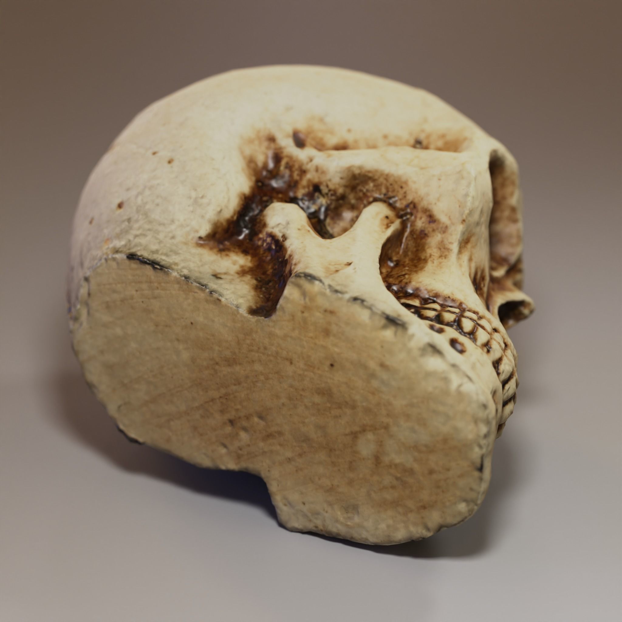 Small Decorative Skull - 3D Scan Low-poly 3D model_5