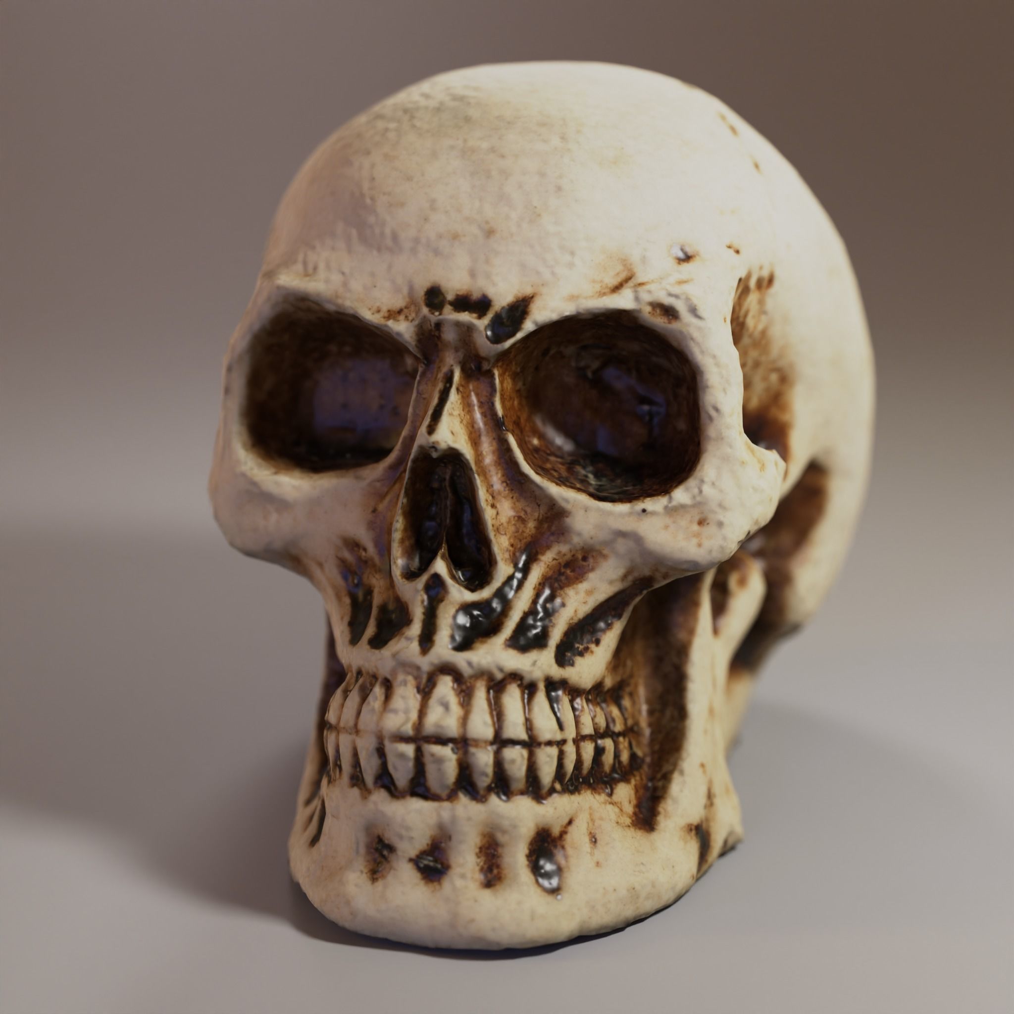 Small Decorative Skull - 3D Scan Low-poly 3D model_2