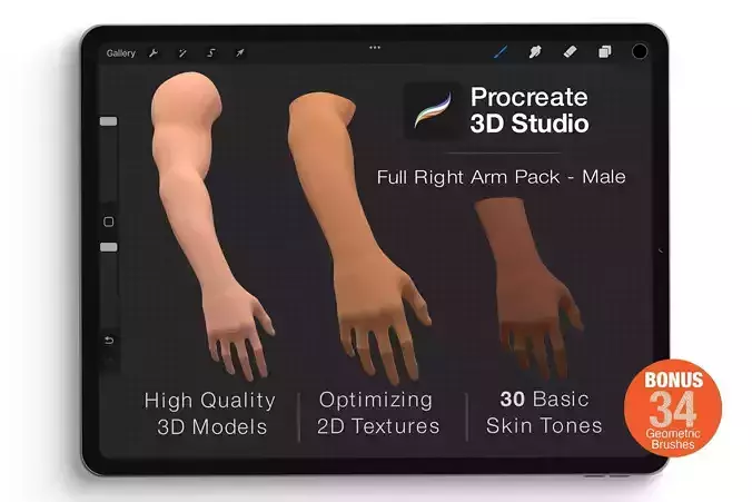 Procreate 3d Model - Right Arm male 3D model