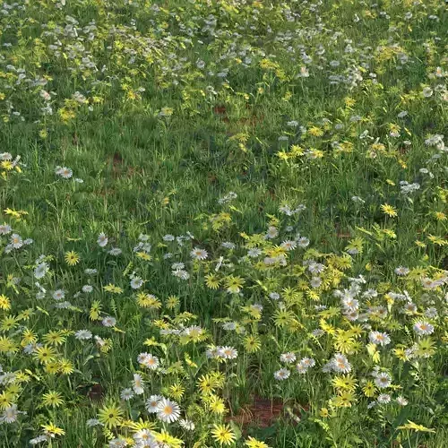 Grass set with flowers 002