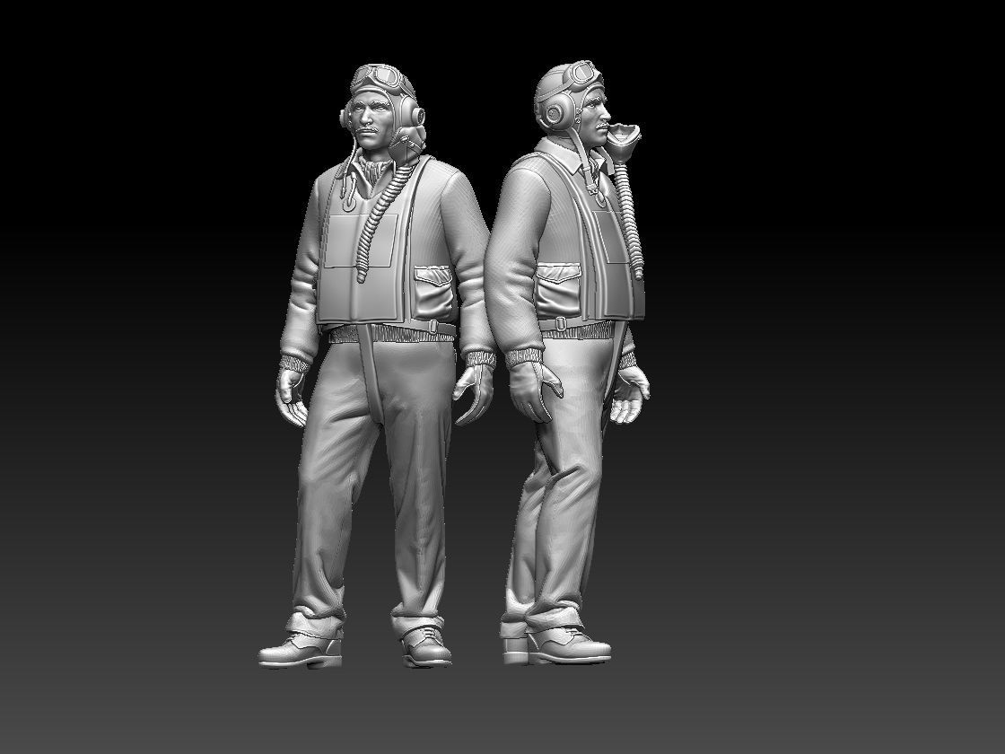 pilot usa  3D print model_43