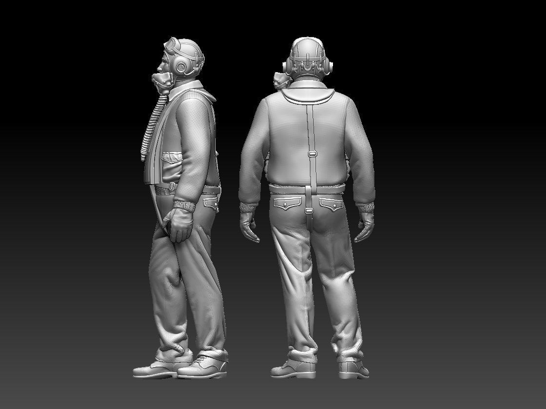pilot usa  3D print model_9