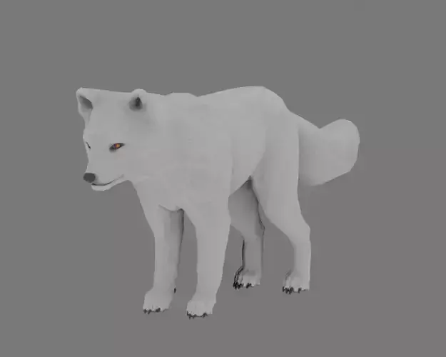 Arctic Fox