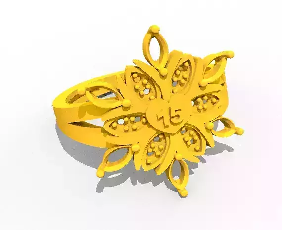 Fifteen Ring C3D