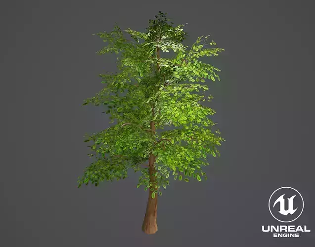 Stylized Tree