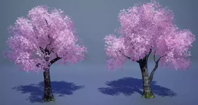 Cherry Blossoms Low-Poly 3D Model