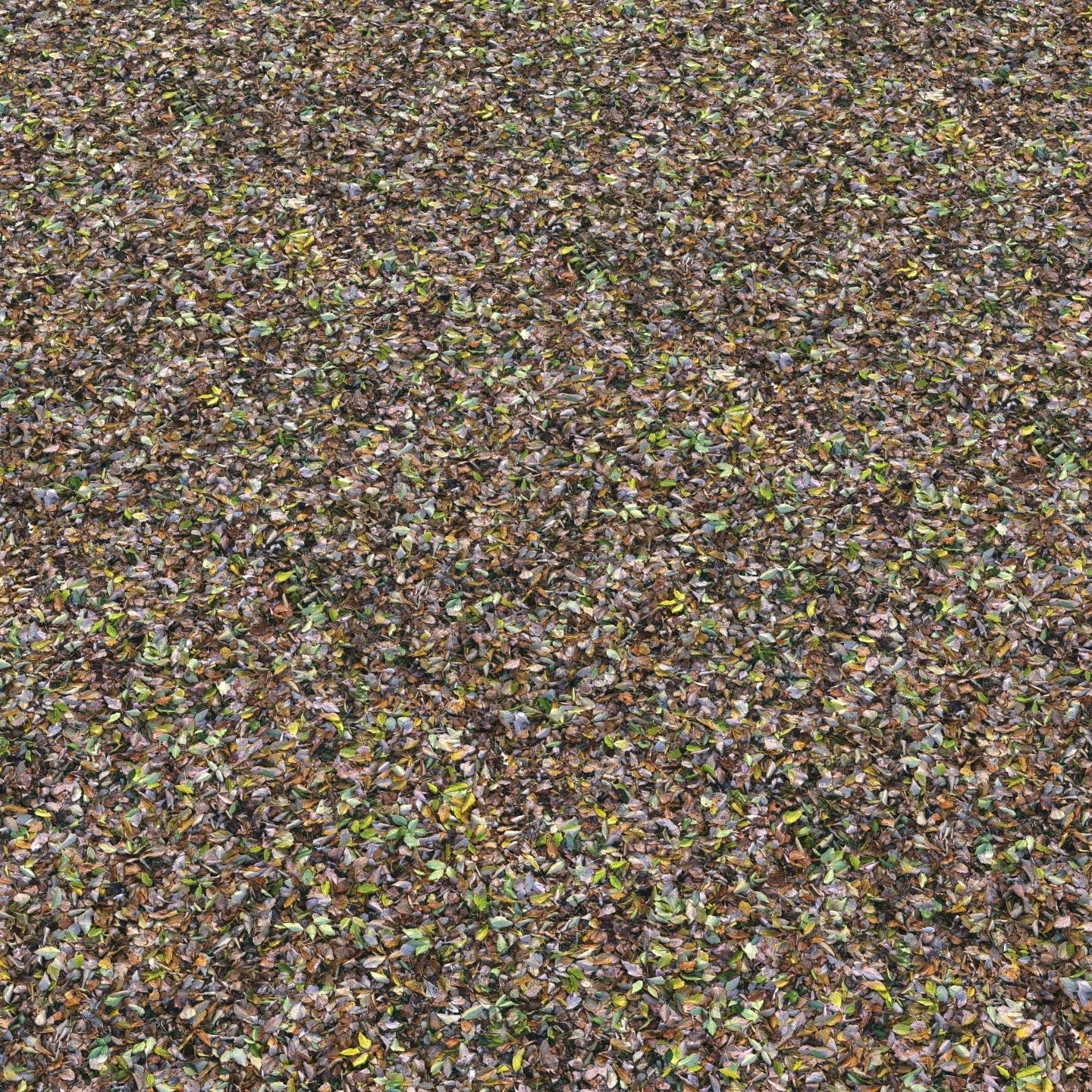 Autumn foliage material 04 3D model_6