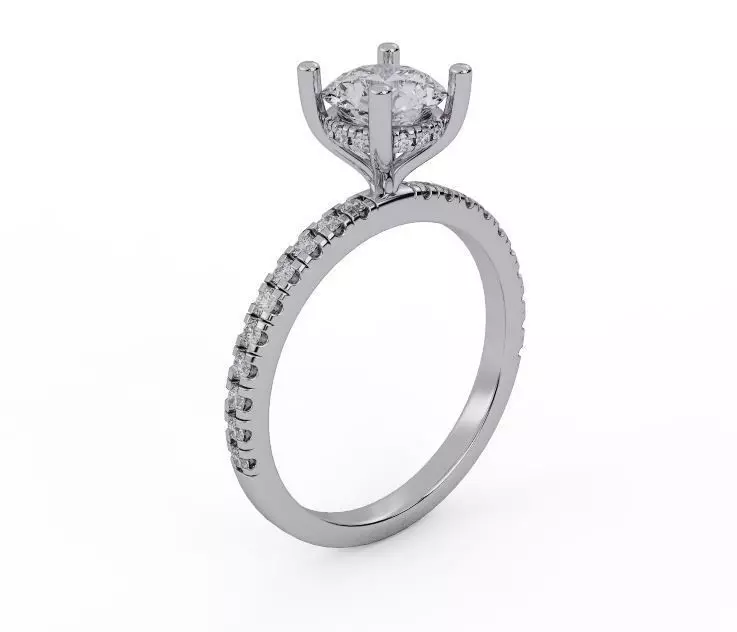 Hidden hallow ring 3D print model_0