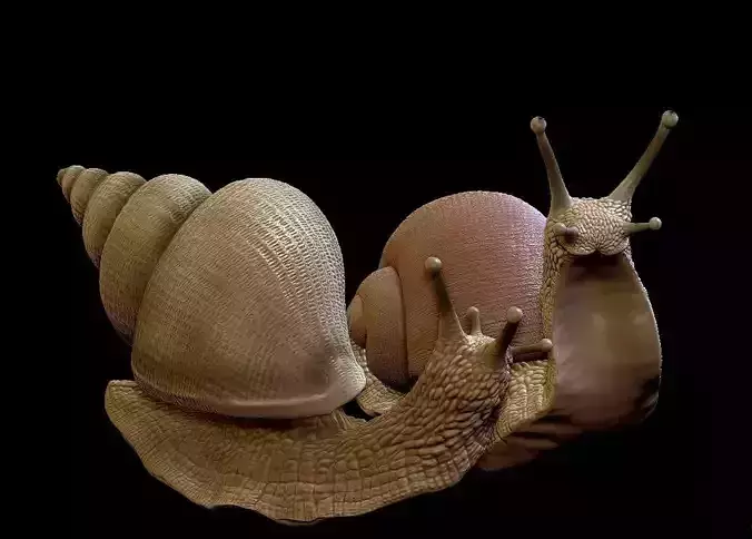 Snail set two snails 3D print model