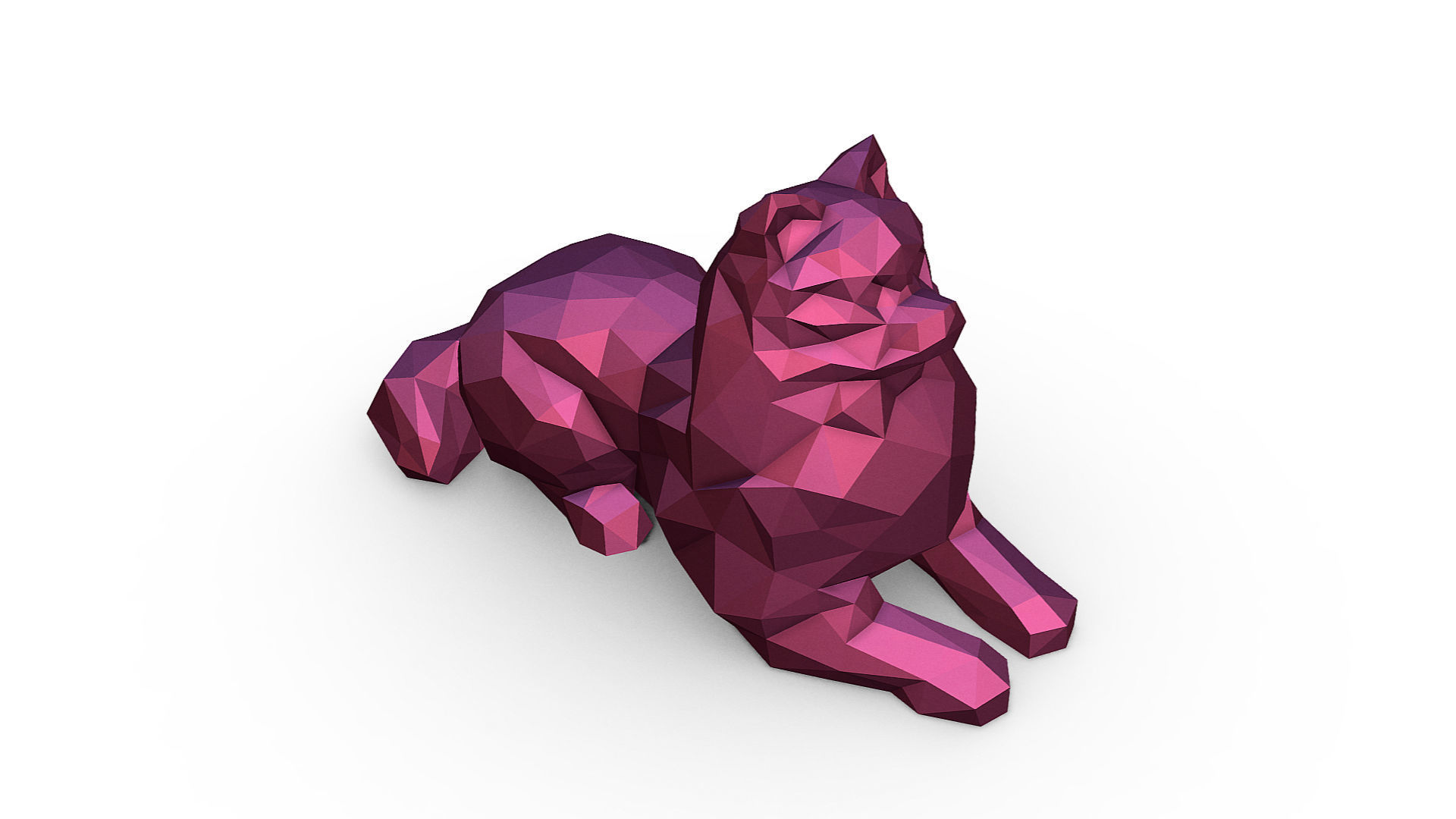 Pomeranian Spitz  3D print model_5