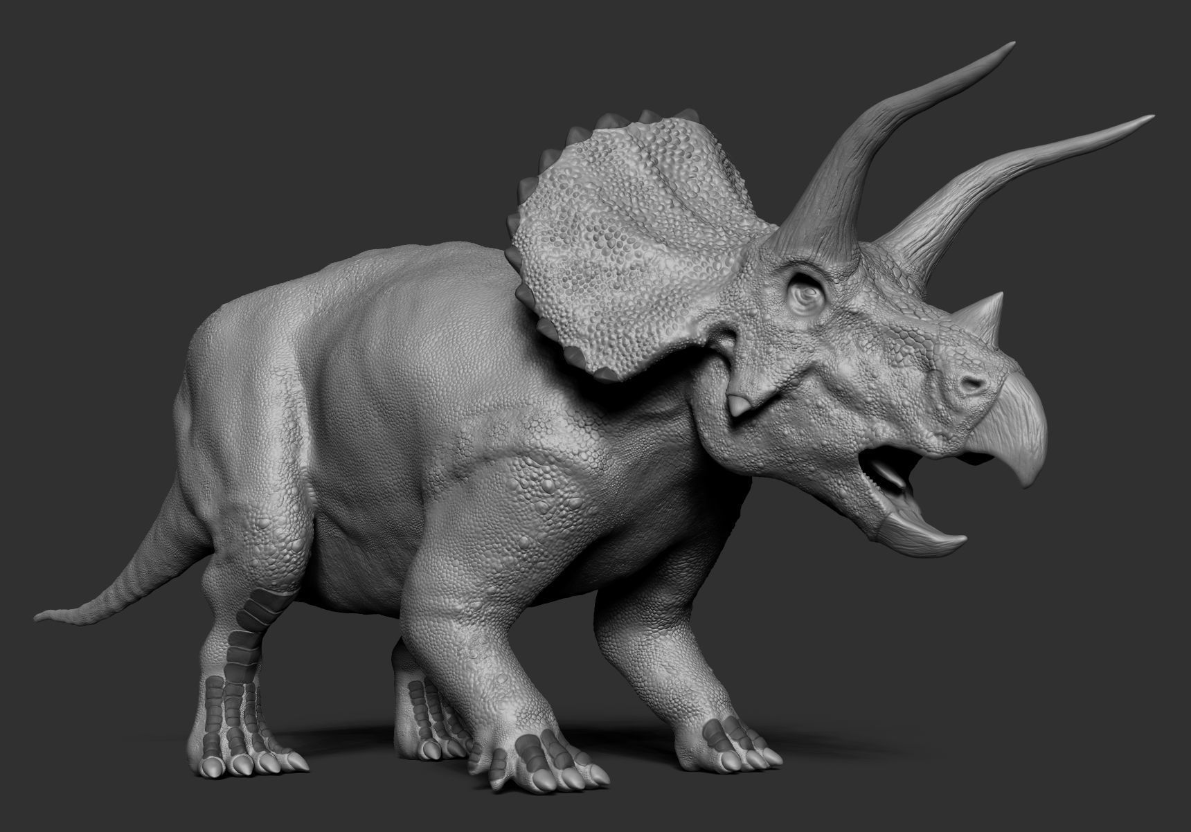 Dinosaur Triceratops Sculpt Project 3D model_3