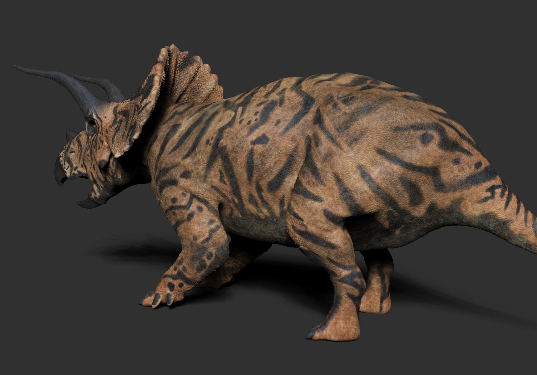 Dinosaur Triceratops Sculpt Project 3D model_9