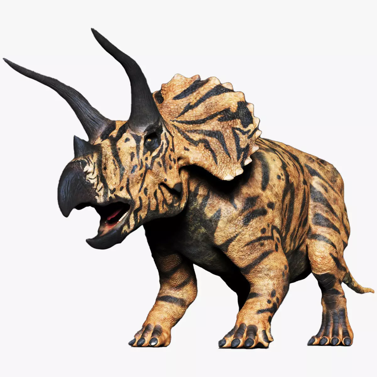 Dinosaur Triceratops Sculpt Project 3D model_0