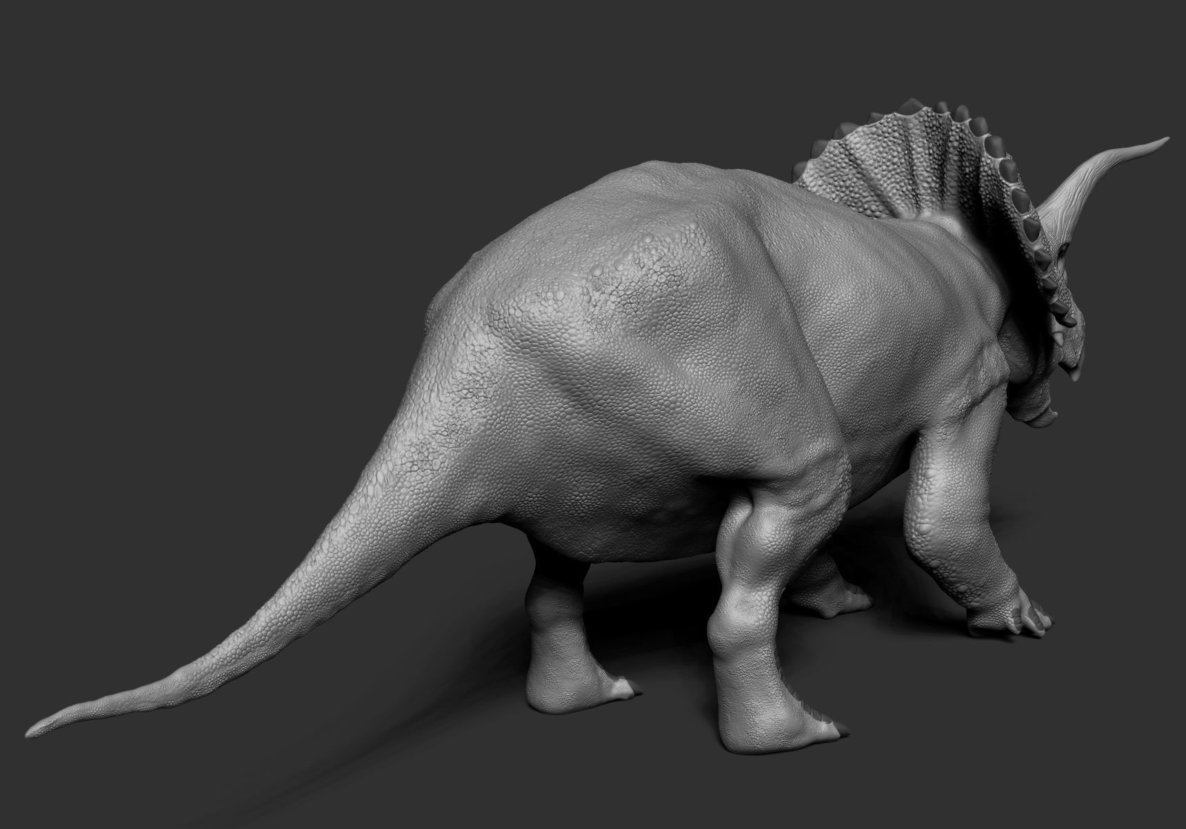 Dinosaur Triceratops Sculpt Project 3D model_2