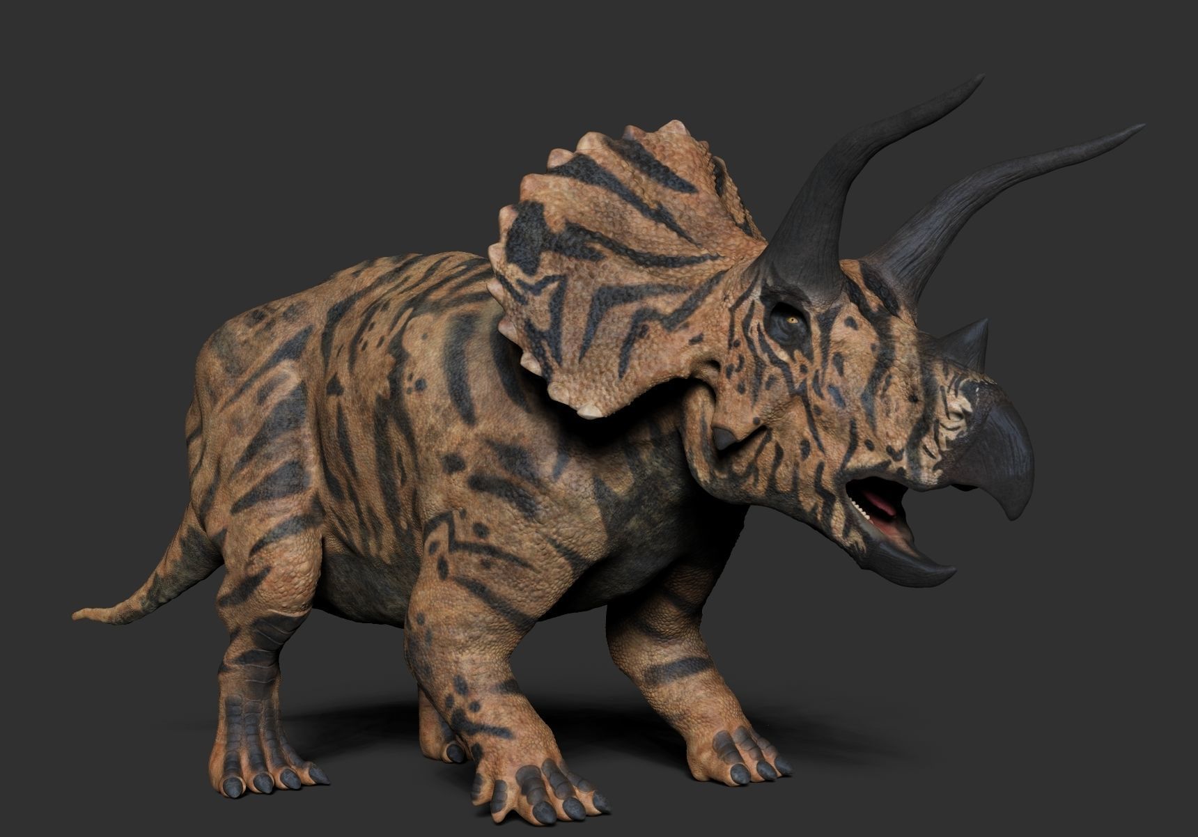 Dinosaur Triceratops Sculpt Project 3D model_6
