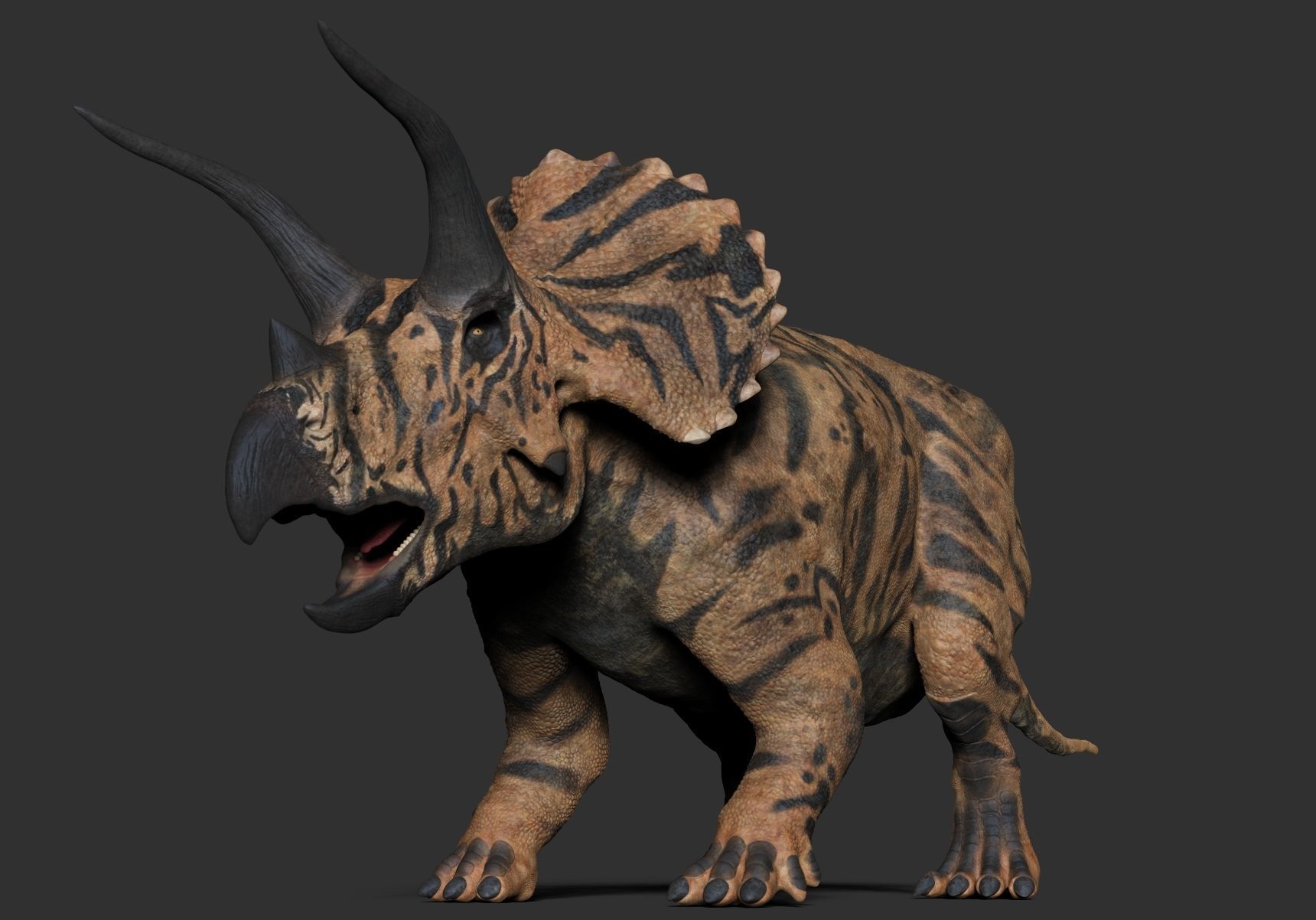 Dinosaur Triceratops Sculpt Project 3D model_10