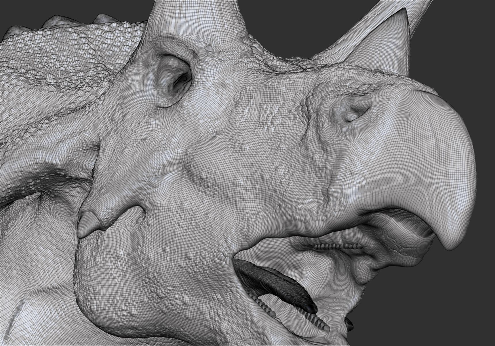 Dinosaur Triceratops Sculpt Project 3D model_11