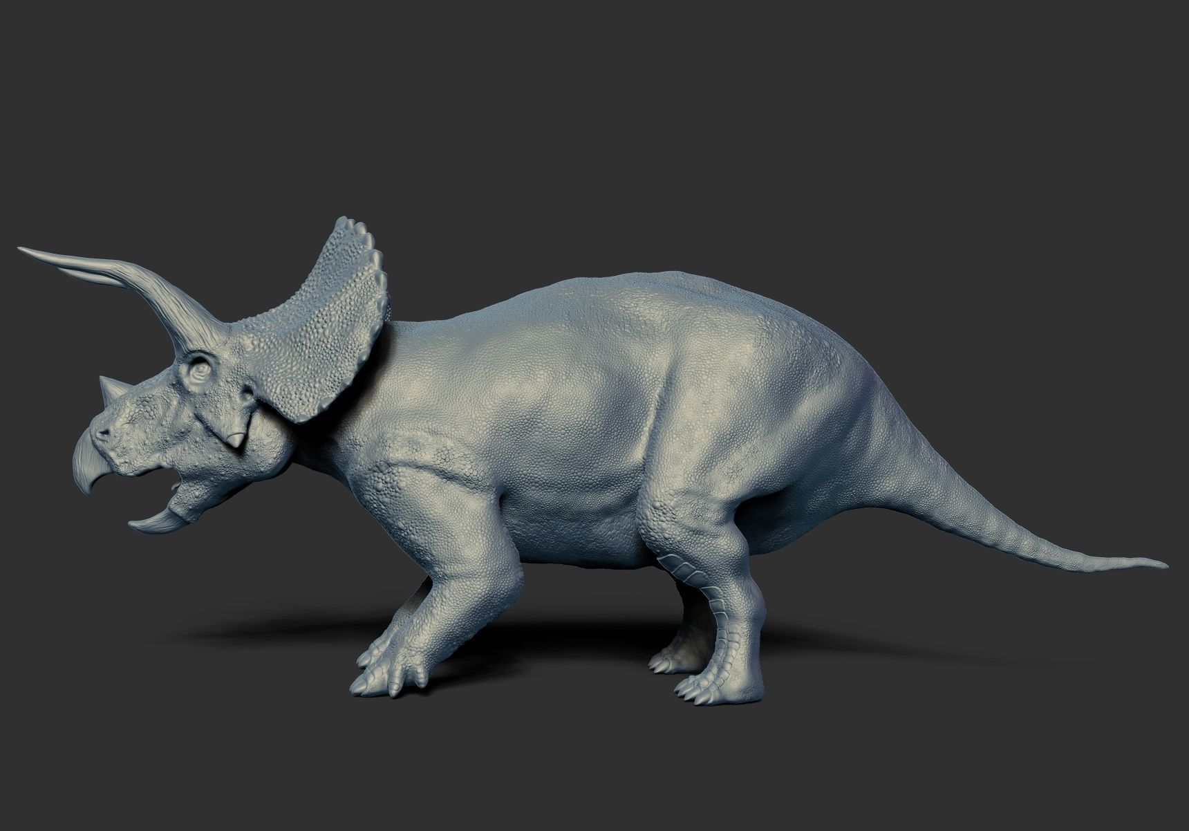 Dinosaur Triceratops Sculpt Project 3D model_4