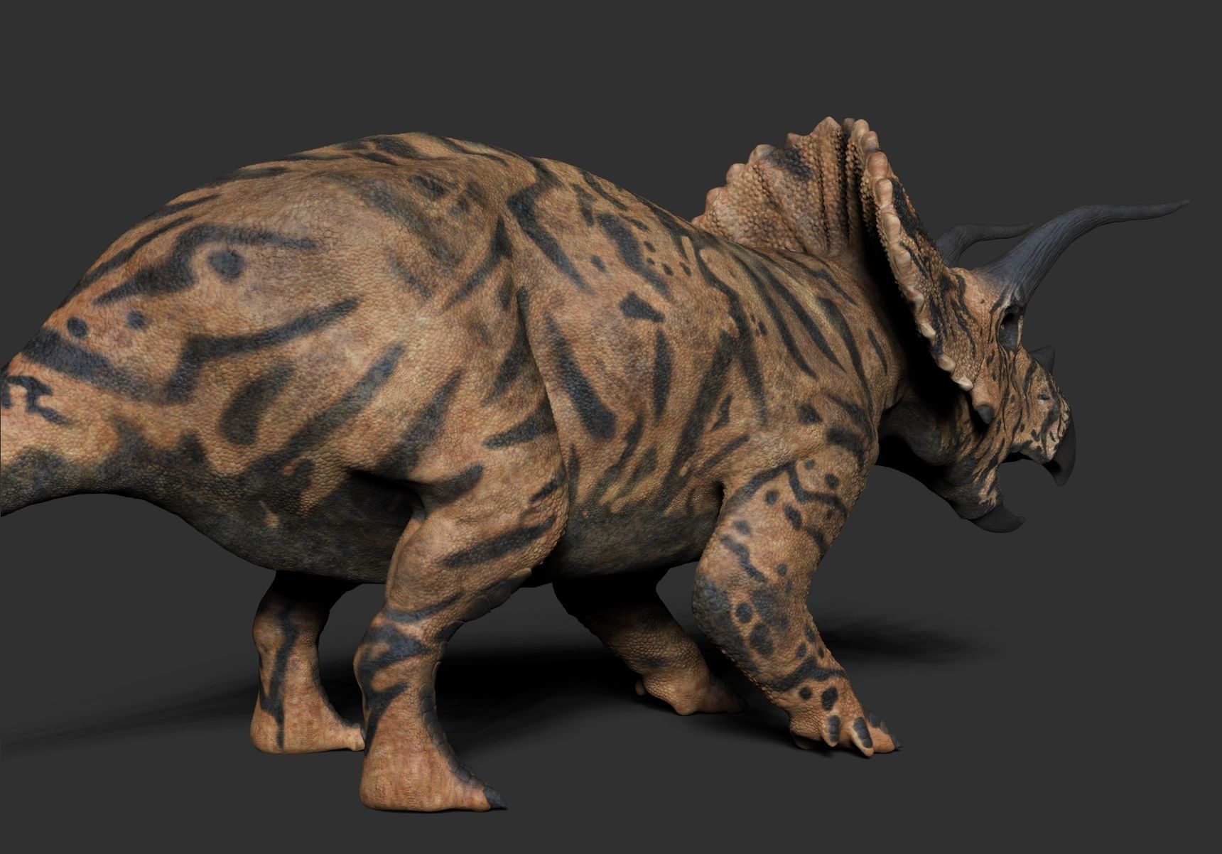 Dinosaur Triceratops Sculpt Project 3D model_8