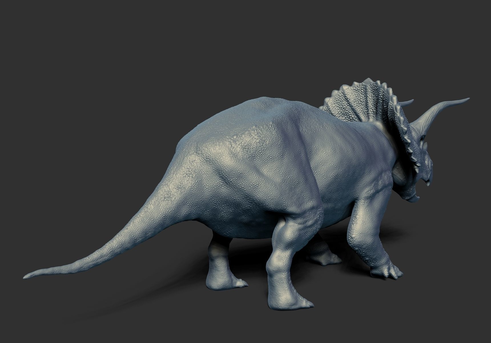 Dinosaur Triceratops Sculpt Project 3D model_5