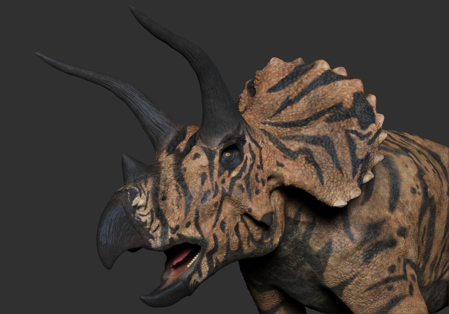 Dinosaur Triceratops Sculpt Project 3D model_7
