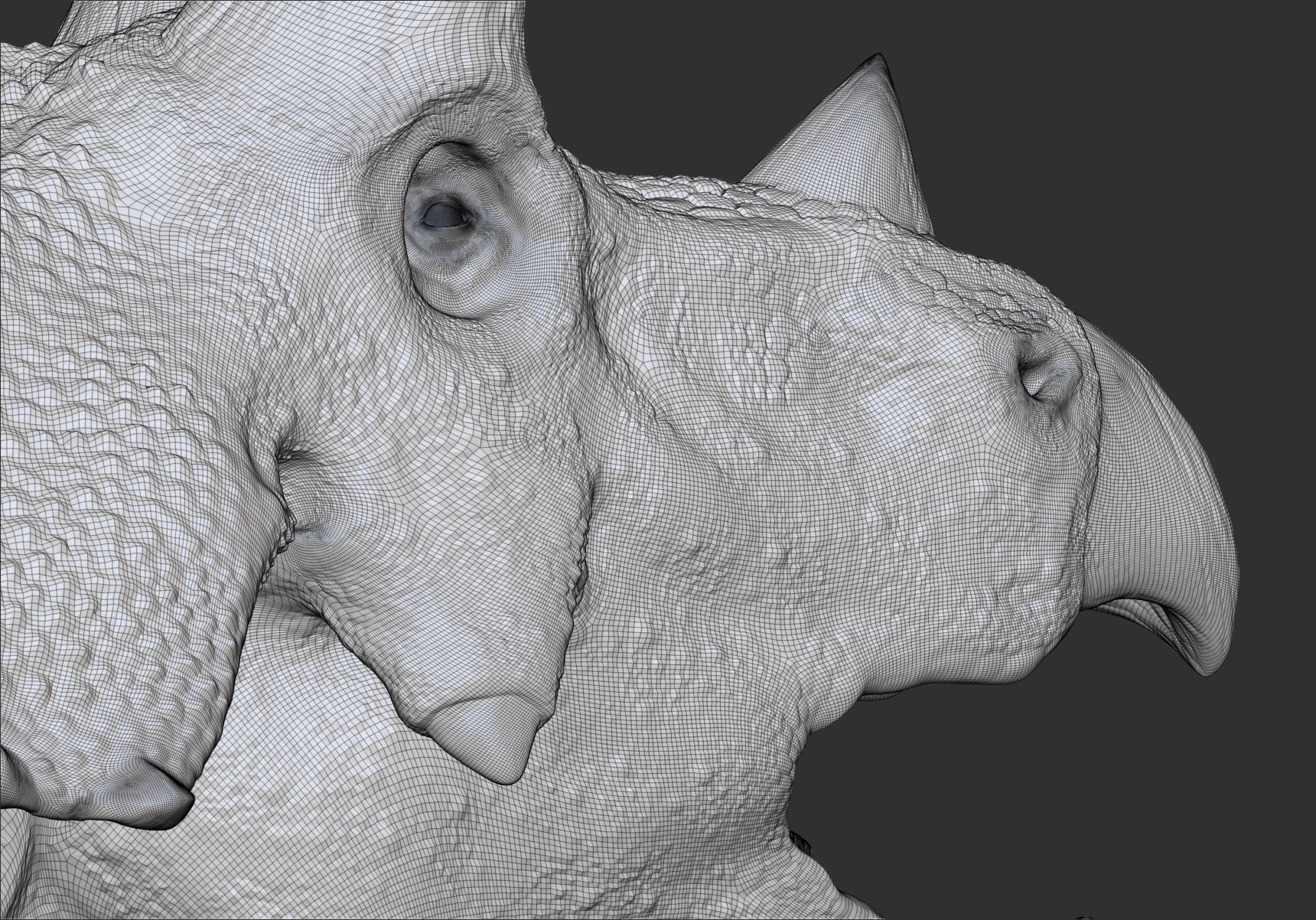Dinosaur Triceratops Sculpt Project 3D model_12