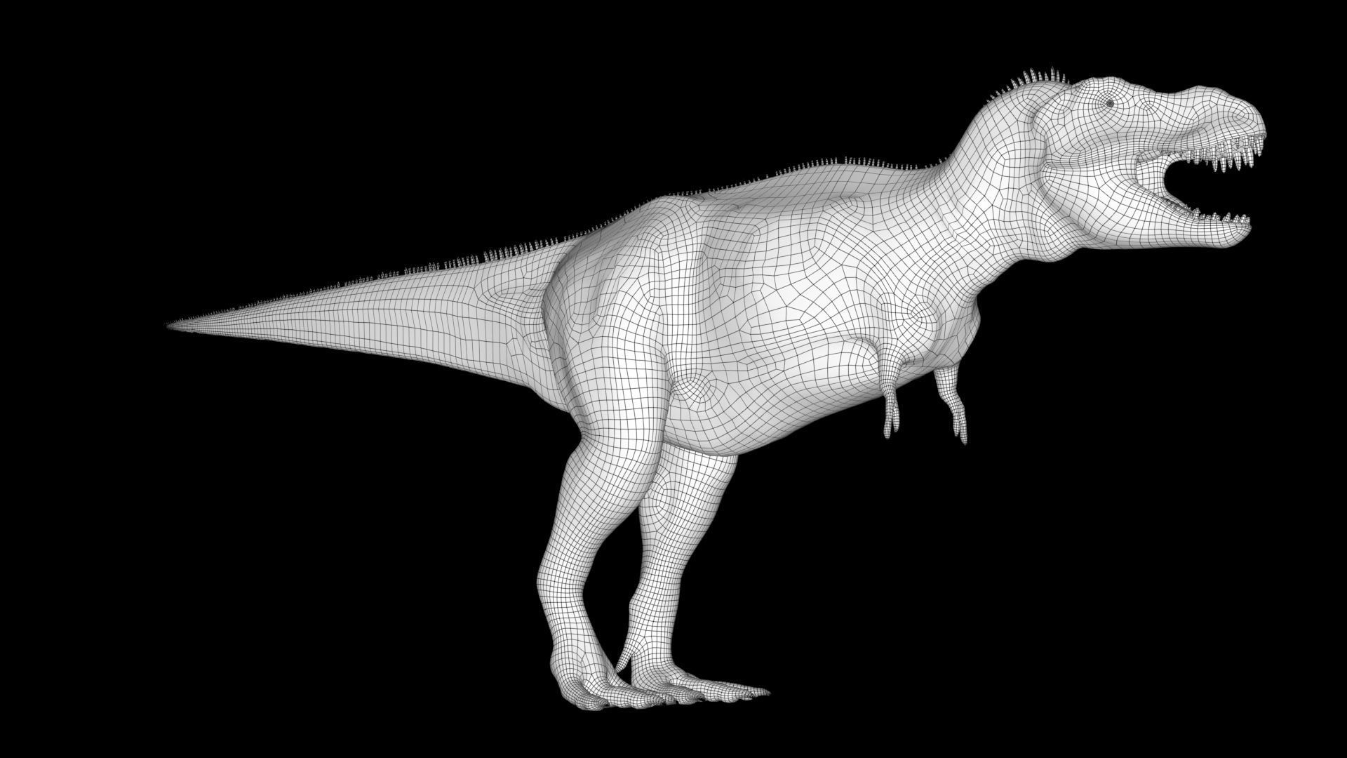 No Texture Tyrannosaurus Rex 3D model_10