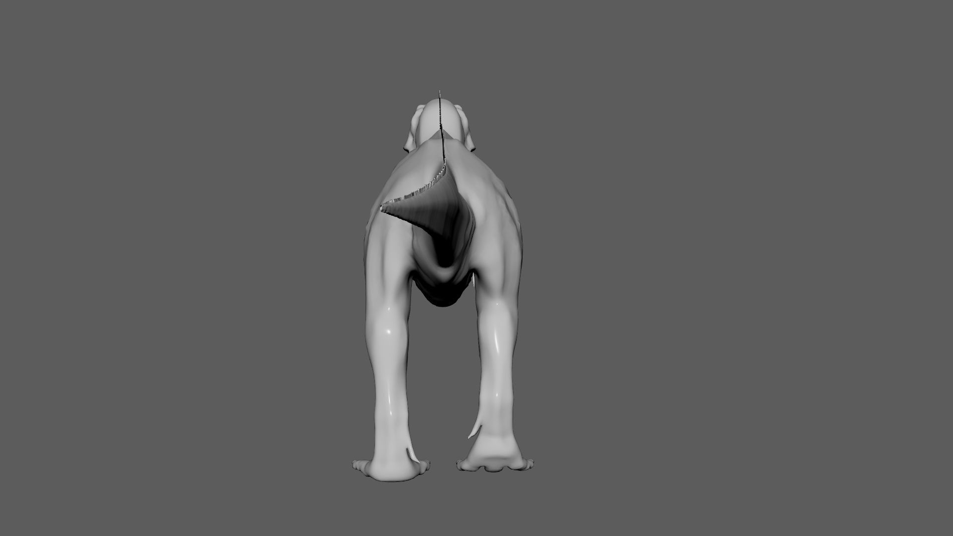 No Texture Tyrannosaurus Rex 3D model_5